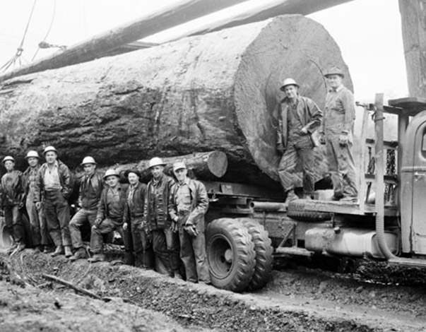 About Us | Capital Lumber